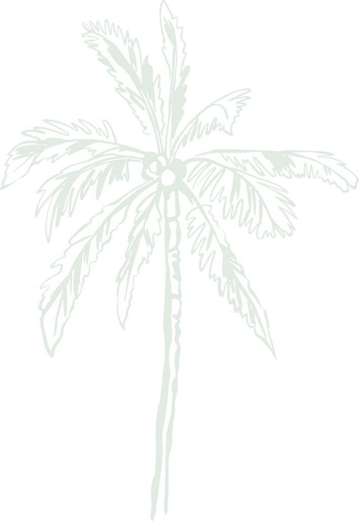 Palm icon background design used across Manoli’s Pizza Company website representing tropical Wailea Maui restaurant branding.